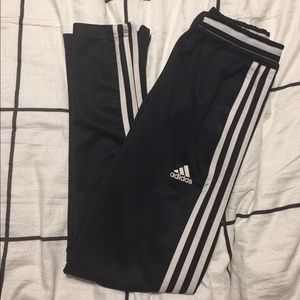 Tiro 19 training pants